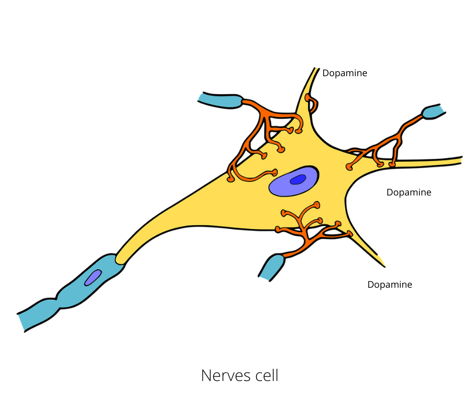 Dopamine