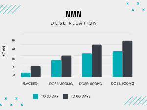 Dose relation response of NMN